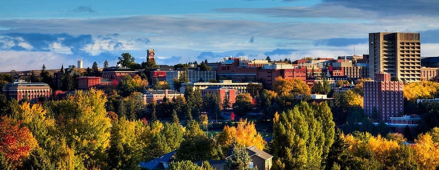 Washington State University